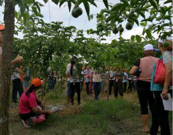 1513319304464696IMBh.png blob.png