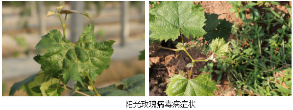 1513330068311979QPdi.jpg TIM截圖20171215172320.jpg