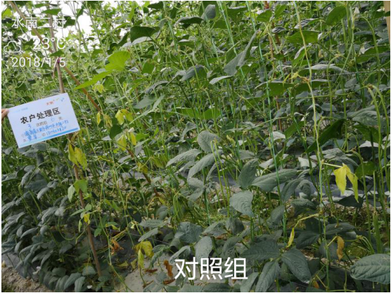 1515669104301820lZZW.png blob.png