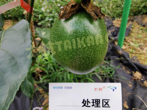 15765427491731890fhL.png 圖片7_副本.png