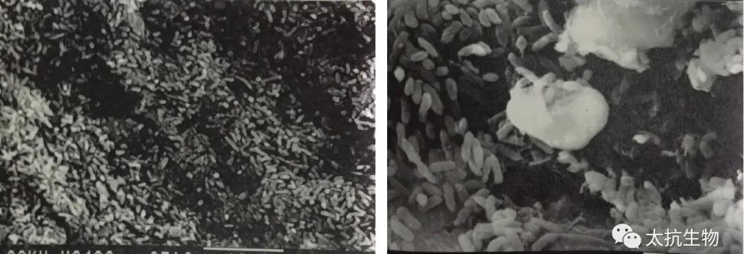 1635260917834584uDlG.jpg 微信圖片_20211026231044.jpg