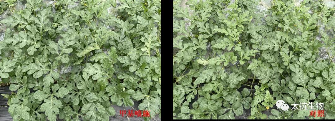 1635260942744088xfc4.jpg 微信圖片_20211026231058.jpg